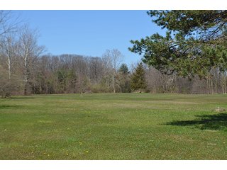 Property photo 9 - REAL ESTATE AUCTION - 3+/- ACRES IN ALLEN COUNTY, INDIANA